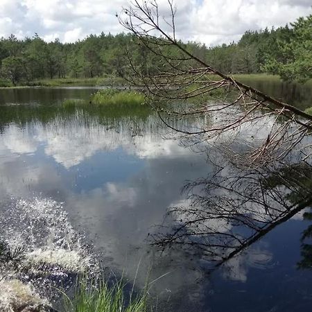 Ostoja Sosnowa Czarny Mlyn, Kompleks Dwoch Nowych Domkow Esterno foto