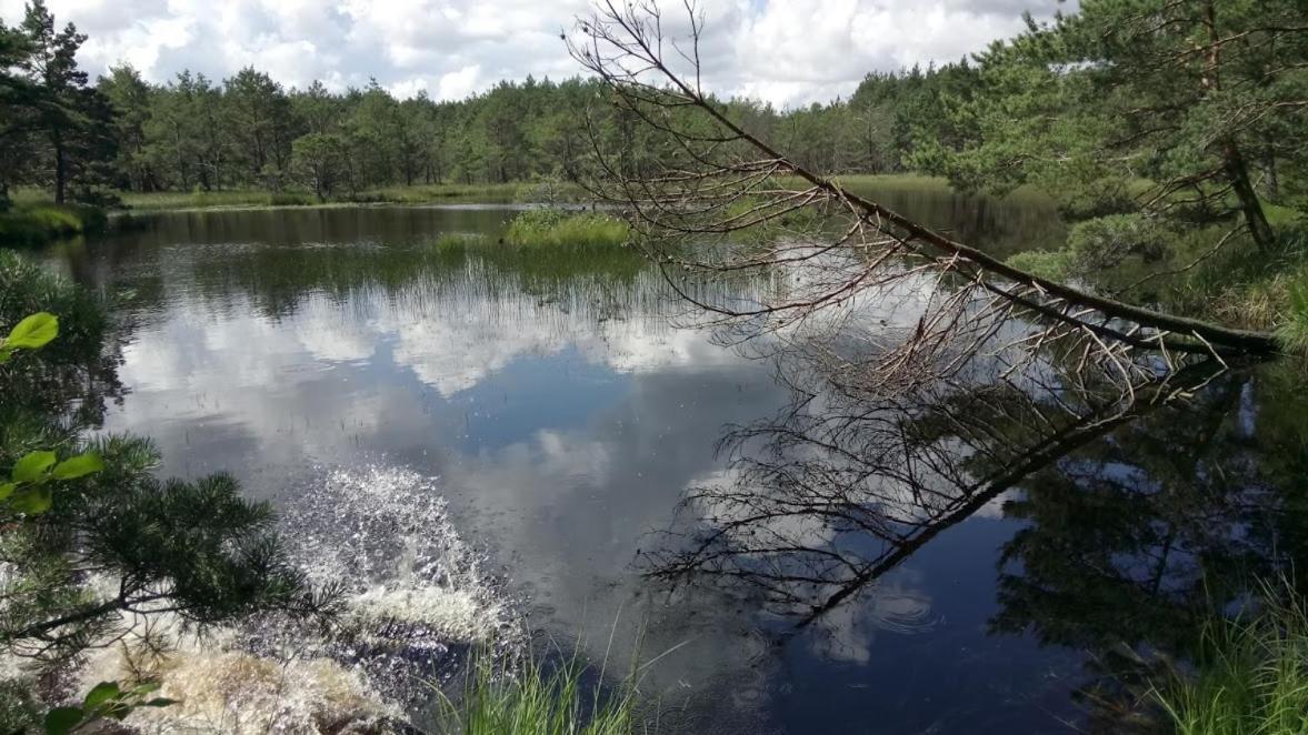 Ostoja Sosnowa Czarny Mlyn, Kompleks Dwoch Nowych Domkow Esterno foto