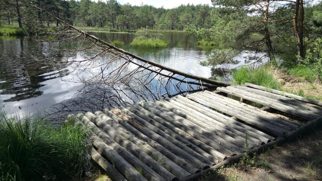 Ostoja Sosnowa Czarny Mlyn, Kompleks Dwoch Nowych Domkow Esterno foto